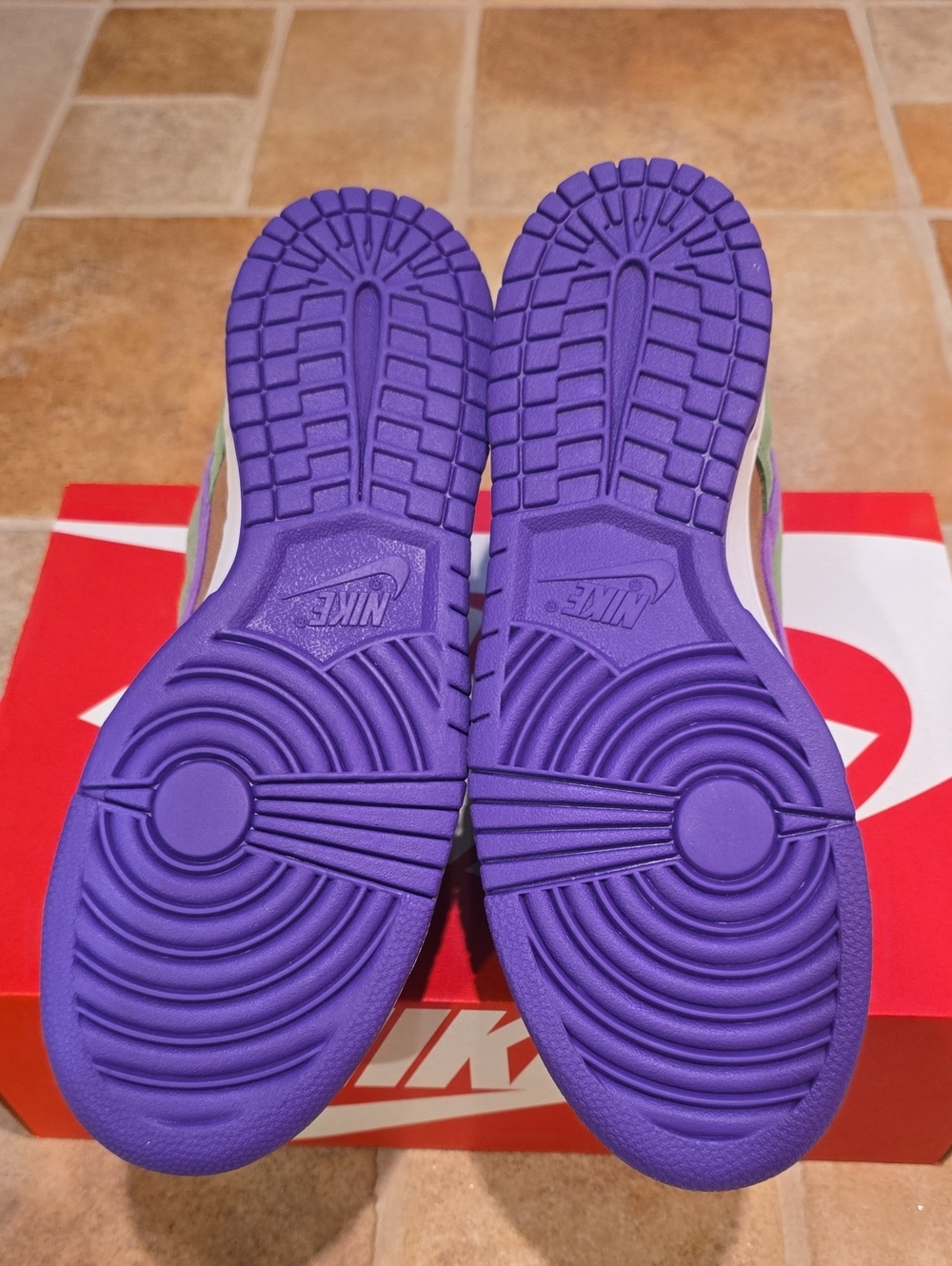 Nike Dunk Low Veneer DA1469-200 Size 10.5 (New)! - Picture 6 of 7